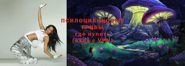 шишки Кодинск
