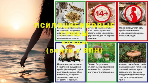 спиды Козельск