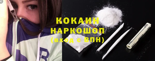 шишки Кодинск