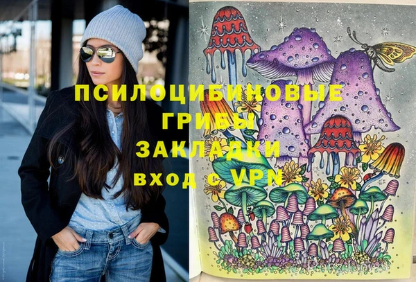 шишки Кодинск