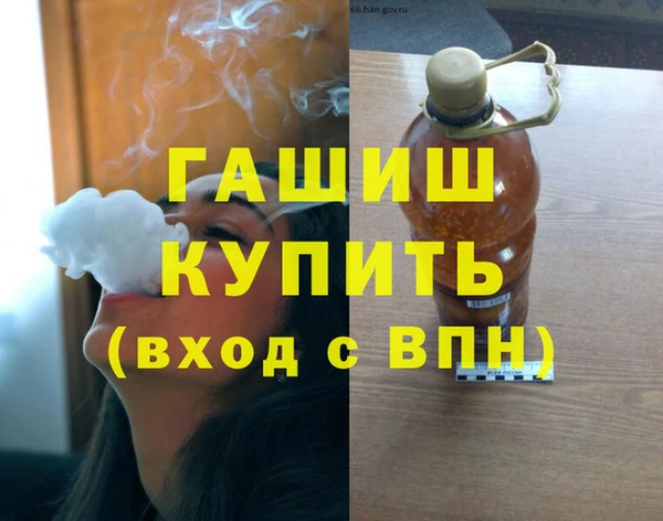 шишки Кодинск