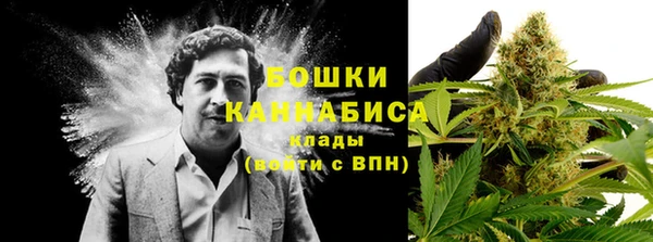 шишки Кодинск
