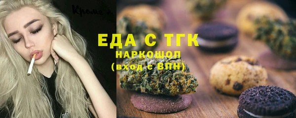 шишки Кодинск